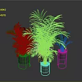 Lush Green Indoor Plants In Metal Planters On Reflective Dark Surface