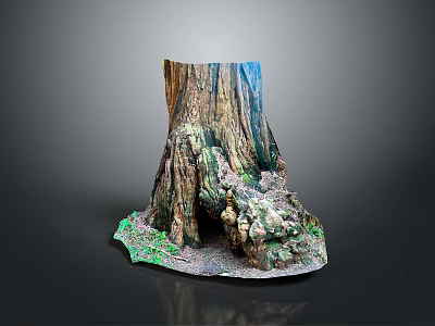 Realistic Natural Tree Stump With Detailed Bark Roots And Mossy Base 3d model