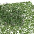 Lush Green Leaves and Purple Small Flowers on Tree Surrounded by Green Grass