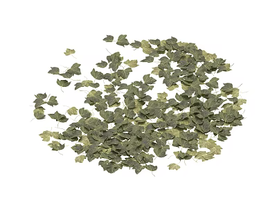 Small Scattered Green Decorative Leaves For DIY Craft Decoration Projects 3d model