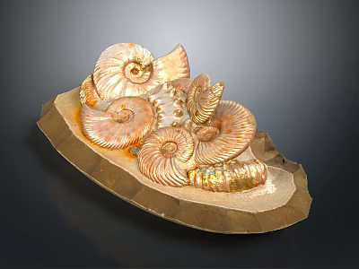 Decorative Household Item With Ammonite Fossils And Golden Stone Base 3d model