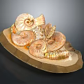 Decorative Household Item With Ammonite Fossils And Golden Stone Base