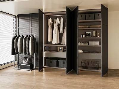 Modern Wardrobe Interior With Hanging Clothes Storage Boxes And Baskets 3d model