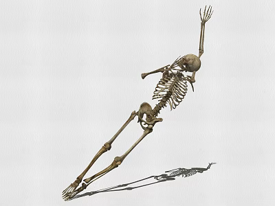 Stylized Game Movie Character Skeleton in Dynamic Pose with Extended Arm and Shadow 3d model