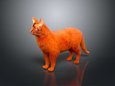 Orange Cat 3D Rendered in Standing Pose with Dark Background and Shiny Reflection 3d model