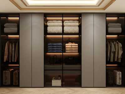 Elegant Modern Wardrobe Interior with Glass Doors Lighting and Organized Clothes Storage 3d model