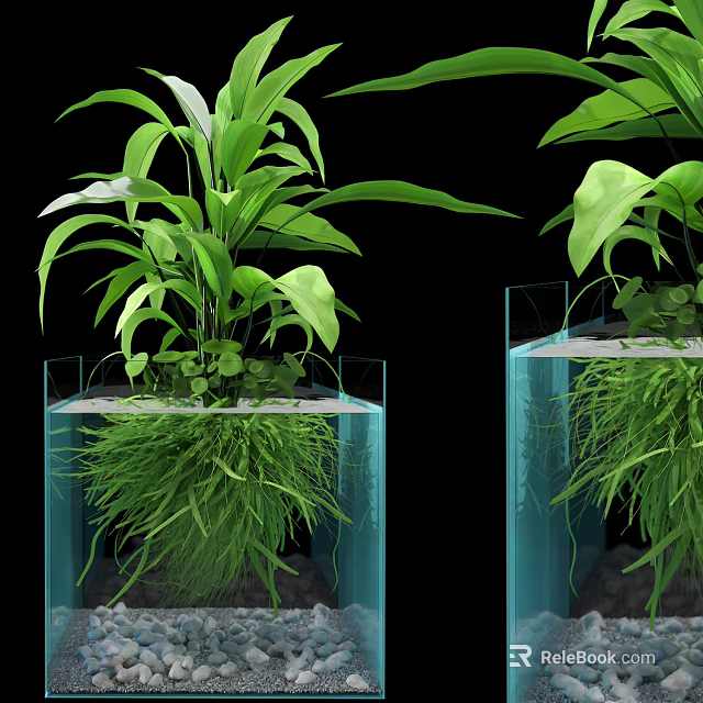 Indoor Bonsai Plant in Transparent Glass Containers with Lush Green Leaves and Water Roots 3d model 