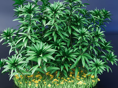 Evergreen Tree With Lush Green Foliage Shiny Leaves And Yellow Flowers In Garden 3d model