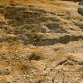 Aerial Planning Of Undulating Terrain With Zoned Layout And Natural Features