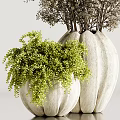 Various Shaped Vases With White Flowers Green Plants And Slender Branches On Light Gray Background