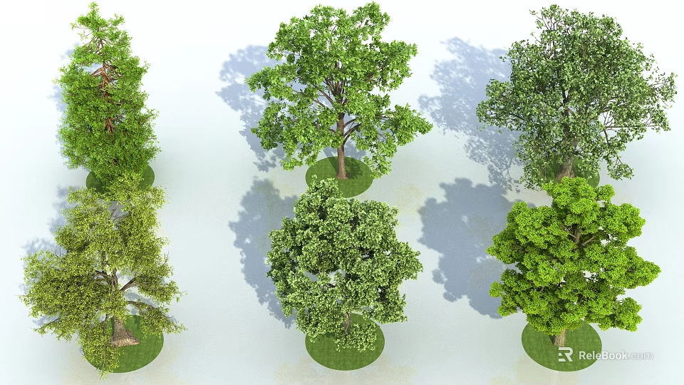 Various Green Arbor Trees With Circular Grass Patches On White Background 3d model