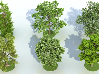 Various Green Arbor Trees With Circular Grass Patches On White Background 3d model