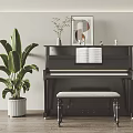 Modern Interior with Black Piano Decorative Painting Open Music Sheet Green Plant and Bench