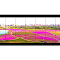 Multi Screen Computer Monitor Displaying High Definition Urban City Skyline View