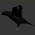 Black Bird With Outstretched Wings Red Feet And Blue Beak On Gray Background