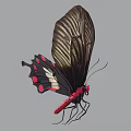 Detailed Butterfly with Golden Wings Intricate Patterns Black Body Red Spots and Pointed Tail