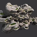 Natural Stone And Wood Decorative Pieces With Hollow Holes And Green Moss
