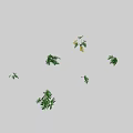 Various Green Plants With Different Leaf Shapes And Natural Foliage 3d model