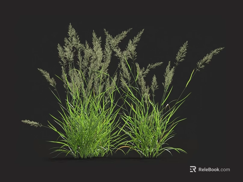 Fresh Green Grass in Two Lush Clumps Against Black Background with Natural Texture 3d model 