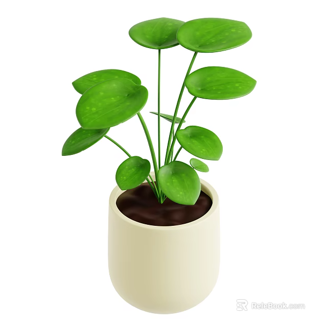 Healthy Indoor Plant With Green Leaves In Beige Ceramic Pot For Home Decor 3d model 