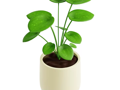 Healthy Indoor Plant With Green Leaves In Beige Ceramic Pot For Home Decor 3d model