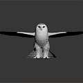 Snowy Owl With Outstretched Wings Standing On White Background In Realistic Pose