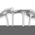 White Mushroom Shaped Columns With Net Like Canopies Modern Architectural Decorative Elements