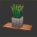 Pixel Style Potted Green Grass Like Plants In White Block Pot On Orange Plank