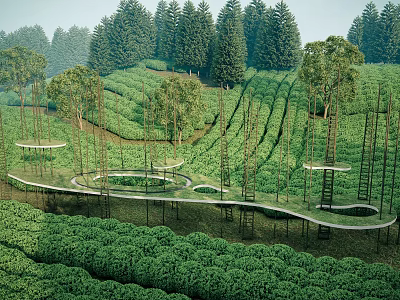 Terraced Tea Garden Landscape With Winding Pathways Surrounding Trees And Elevated Walkways 3d model