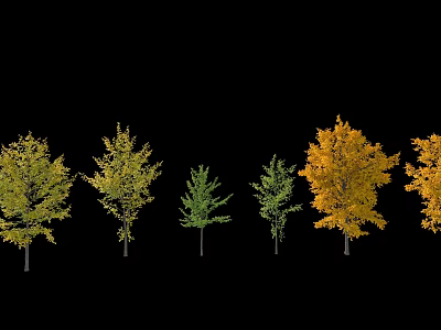 Various Arbor Trees With Green And Yellow Foliage In Seasonal 3d model