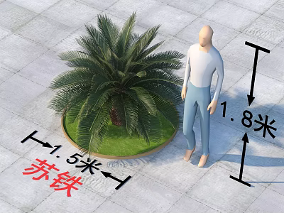 Modern cystacean plants 3d model Modern cystacean plants 3d model