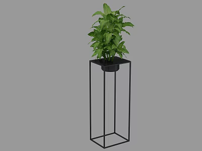 Bonsai Potted Plant on Black Metal Plant Stand with Lush Green Leaves for Indoor Decor 3d model