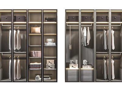 Modern Wardrobe Interior Design With Hanging Clothes Storage Boxes Shelves And Drawers 3d model