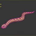 snake cobra venomous snake python reptile cold-blooded animal reptile 3d model