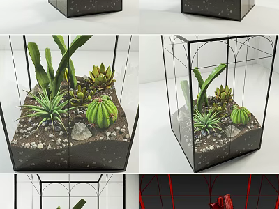 Bonsai Potted Plant With Cactus Succulents And Small Stones In Glass Container For Indoor Decor 3d model