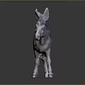 3D Model Gray Donkey Foal Standing On Dark Background With Shiny Coat