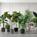 Various Potted Plants Of Different Sizes With Stylish Planters In Modern Indoor Space