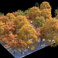 Vibrant Autumn Trees with Yellow Orange Green Foliage on Snowy Ground