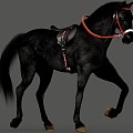 Dark Horse War Horse Martyr Horse Wild Horse Sweat Blood BMW Realistic Horse Maxima 3d model