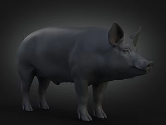 Black pig domestic pig boar 3d model