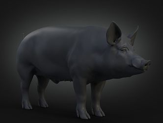 Black pig domestic pig boar 3d model