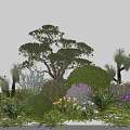 Vibrant Garden Shrubs With Yellow Purple White Flowers And Green Foliage