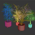Indoor Green Plants In Colorful Pots With Lush Leaves And Different Varieties