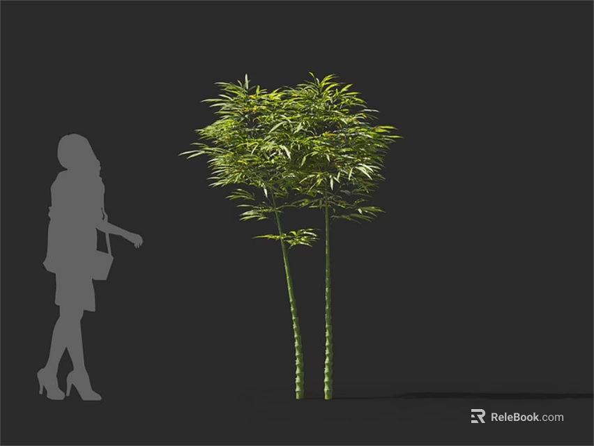 Lush Green Bamboo Plant With Tall Stems And Human Silhouette 3d model 