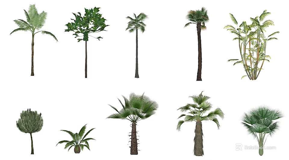 Diverse Arbor Trees with Green Foliage and Tall Straight Trunks 3d model 