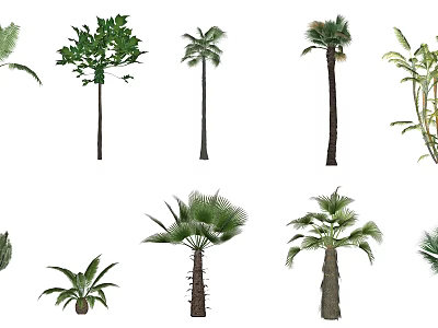 Diverse Arbor Trees with Green Foliage and Tall Straight Trunks 3d model