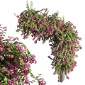 Lush Vine Covered With Purple Flowers Close Up 3d model