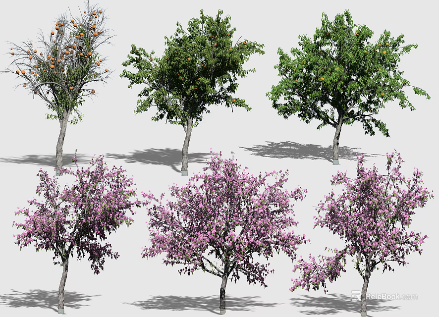 Diverse Arbor Trees With Purple Blooms Orange Fruits And Lush Foliage 3d model 