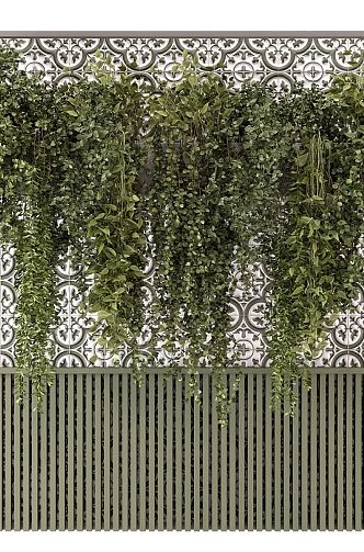 plant wall green plant wall vertical greening hanging plant 3d model