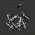 School of Silver Blue Fish Swimming in Dynamic Arrangement on Dark Background